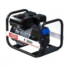 Бензиновий генератор FOGO F3001 (34039)